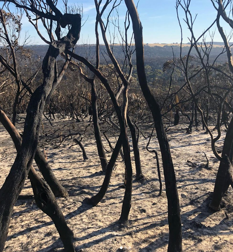 Bush Organics Update - How can you help